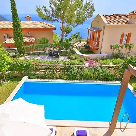 فيلة Lagun, Lavanta, Kalkan